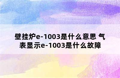 壁挂炉e-1003是什么意思 气表显示e-1003是什么故障